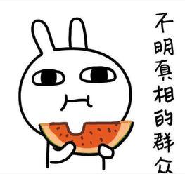 姐妹吃瓜照片搞笑文案,搞笑文案笑翻全场