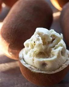 蓬莱吃瓜大队,揭秘神秘瓜界风云录