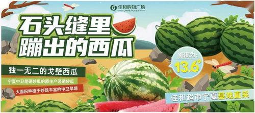 吃瓜吃个痛快,吃瓜群众畅享清凉盛宴