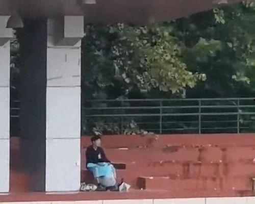 郑州学校吃瓜视频,揭秘校园饮食安全疑云