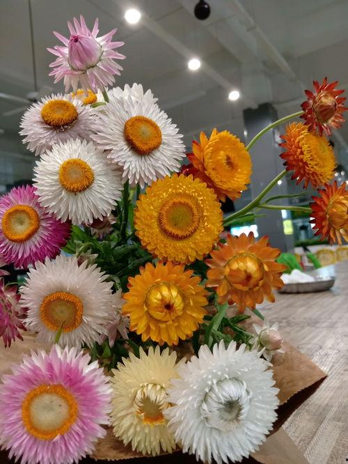 园艺吃瓜,吃瓜季的种植与品尝指南