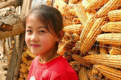 马老师吃瓜,揭秘娱乐圈幕后故事