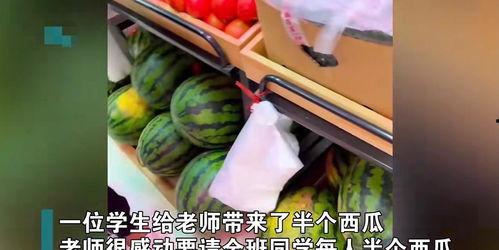 班级同学吃瓜,班级同学共享美食时光