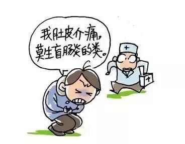 打假会长吃瓜,揭秘打假会长吃瓜背后的真相与内幕