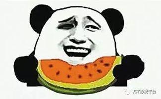 吃瓜很甜吗,探寻瓜果美味背后的秘密