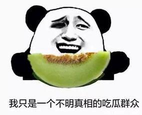 莫名当了个吃瓜群众,揭秘吃瓜群众的奇妙之旅