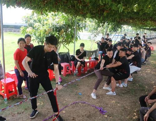 拔河比赛吃瓜,一场吃瓜群众的激情盛宴