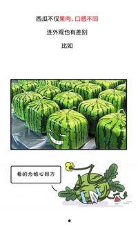 历史氪吃瓜,揭秘宇宙中的那些“吃瓜”瞬间