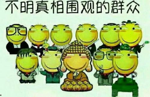 带你吃瓜通灵兽,揭秘通灵兽的神秘世界