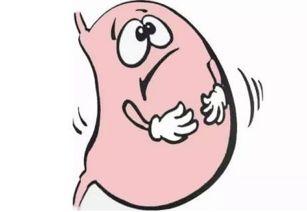 吃双瓜胃不好,胃部不适需注意